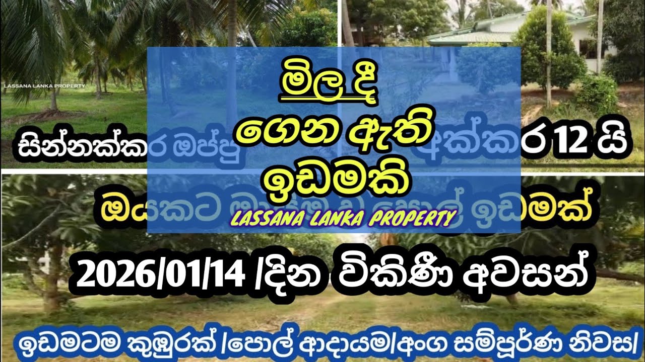 සියලුම ඉදිකිරීම් සමඟ කියන මිලට උඩින්ම වටින ඉඩමක් /ඔයකට මායිම් පොල් ඉඩමක් හෙව්වනම් මෙන්න අවස්ථාව