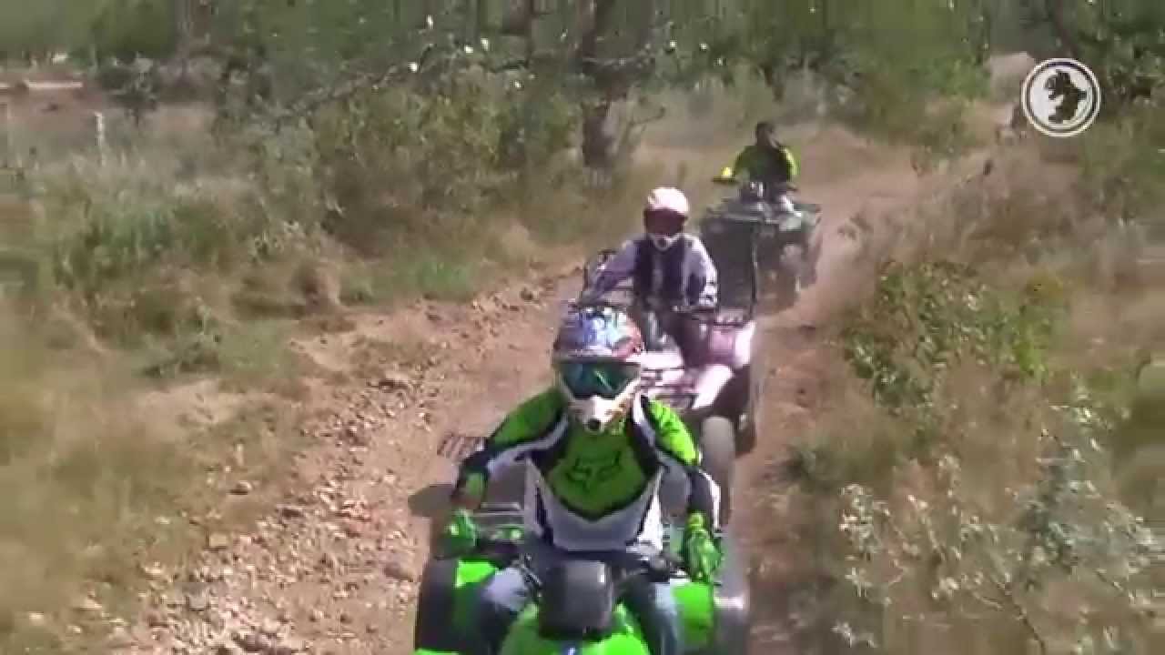 Car Cross: Adrenalina y Diversión en Cada Conducción