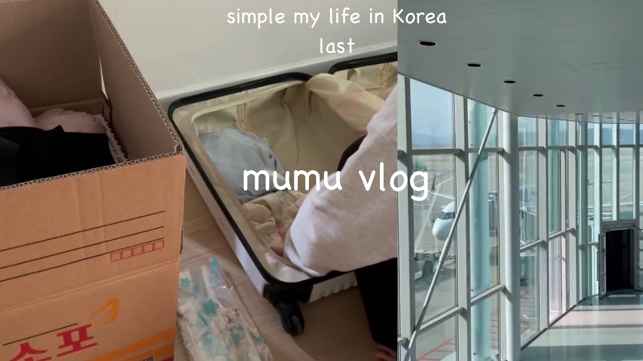 KR)VLOG｜韓国で静かに暮らす社会人留学生の日常｜これにて夢だった韓国留学おわり🇰🇷🌸