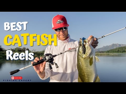 Top 8 Best Catfish Reels for Anglers: Ultimate Buyer's Guide! 