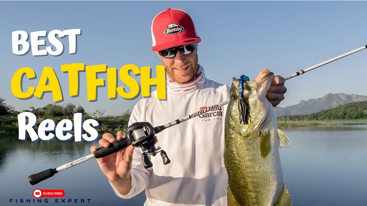 best cat fish reel Heavyweight Championship | Catfishing Reel 1 brass gear system stands up to repeated battles with hard Top 8 Best Catfish Reels