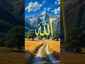 QUR'AN SURAH AL RAHMAN WITH URDU TARJUMA #quranrecitation #LOVE #URDUTARJUMA #MOTIVATION