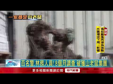 山老鼠家族集團！ 「山難報案」露餡警逮12人