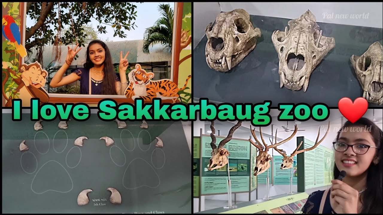 Junagadh zoo tour Sakkarbaug Zoological park Gujarat Part1