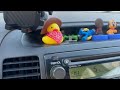 Cute Rubber Duck