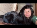Let's get warm with Luna the panther and Venza 😸❄️(ENG SUB)