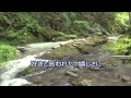 カラオケ 長良川艶歌