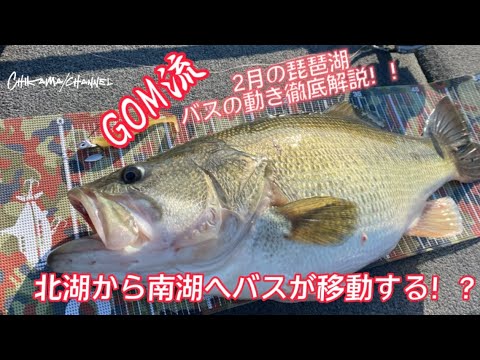 【琵琶湖バス釣り】2月の琵琶湖！バスの動きを徹底解説！！【琵琶湖】