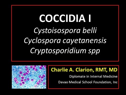 Cystoisospora belli, Cyclospora cayetanensis, Cryptosporidium parvum
