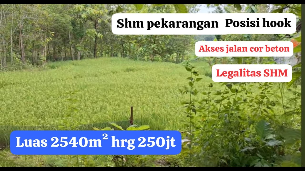 MURAH.  SHM pekaranga.  luas 2540m² hrg 250jt. posisi hook. akses jalqn cor beton.