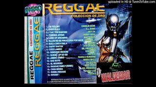 TECHNO-1996 - 15.-TECHNO - RAGGAE FAMILY (REMIX) - INER CIRCLE