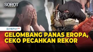 Download lagu Gelombang Panas Eropa Makin Parah, Ceko Pecahkan Rekor Suhu 41,1 Derajat Celsius