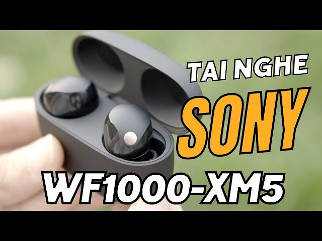 Review Sony WF-1000XM5 | Tai nghe không dây chống ồn vô địch