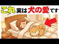 【抱きしめたくなる】犬が愛を伝える時の１２の行動｜犬の厳選雑学