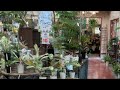 開花園本店から