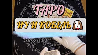 ⚡ НУ И КОБЕЛЬ 🐶‼️ ЧТО В ЕГО ЛИЧНОЙ ЖИЗНИ СЕЙЧАС ❓👨 #таро