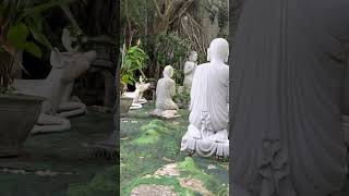 Vietnam 🇻🇳 must visit #new #travel #reels #vietnam