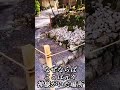 伊勢神宮で絶対にやったらだめなこと!! #shorts