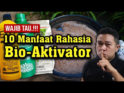 Video: 10 Cara untuk Membawa Unsur Alami & Organik ke dalam Interior Anda