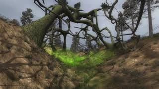S.T.A.L.K.E.R. CoP Remake 3 Atmosphere - Oakpine