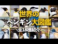 世界のペンギン大図鑑