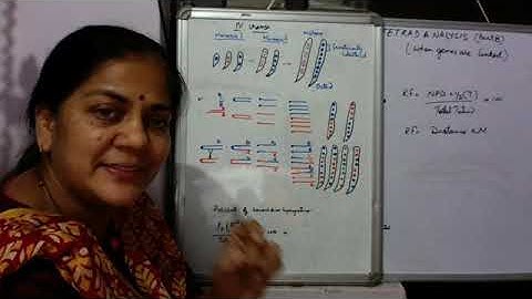 Tetrad Analysis PartB