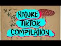 |TikToks For Nature People| Nerdy, Nature, Foraging People |Goblincore Trollcore Plants Food