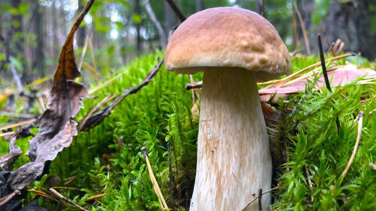 What a Spot! Scored Awesome Fish Despite the Cold!