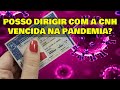 Pode Dirigir com a CNH Vencida na Pandemia? (Mitos e verdades)