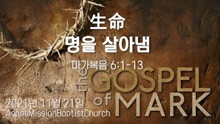 2021 1121 생명 - 명을 살아냄 | 마가복음 6:1-13 | 김현수 목사