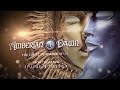 Amberian dawn  the court of mirror hall official lyric  napalm records