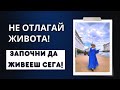 🔥НЕ ОТЛАГАЙ ЖИВОТА! ЗАПОЧНИ ДА ЖИВЕЕШ СЕГА!