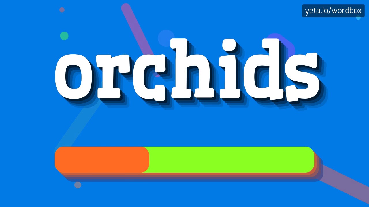 ORCHIDS HOW TO SAY ORCHIDS? orchids YouTube