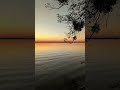 Deep Sleep Music for Instant Relaxation 🌌