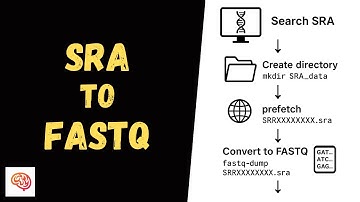How to Obtain FASTQ from SRA (NCBI) using prefetch and fastq-dump – CLI NGS Tutorial #1