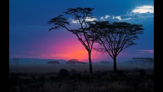 Privet Africa(Hello Africa remix)