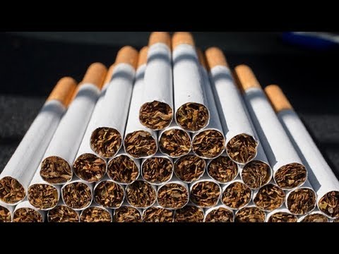 Производство Сигарет как бизнес идея
