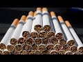 Производство Сигарет как бизнес идея