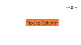 Text to Column | Excel | Wizy Owl