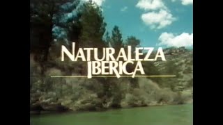 NATURALEZA IBÉRICA: ENTRE DOS MUNDOS. ISLAS CIES (+ Presentación de la serie) 1987