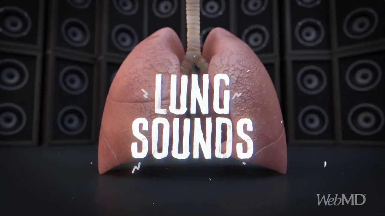 What Your Lungs Sound Like YouTube