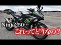 Ninja250は本当に大人気で優秀なバイクなのか確かめてみた【インプレ、レビュー】