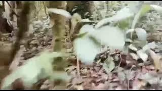 story wa pendakian gunung ciremaiii..