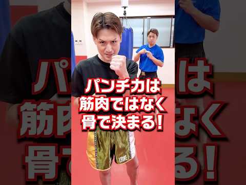 【パンチ力】パンチ力は筋肉ではなく骨で決まる！〜short version〜