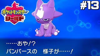 さよならマイベイビー はじめてのポケモン剣盾 13 Youtube さよならマイベイビー はじめてのポケモン剣盾 13 Youtube