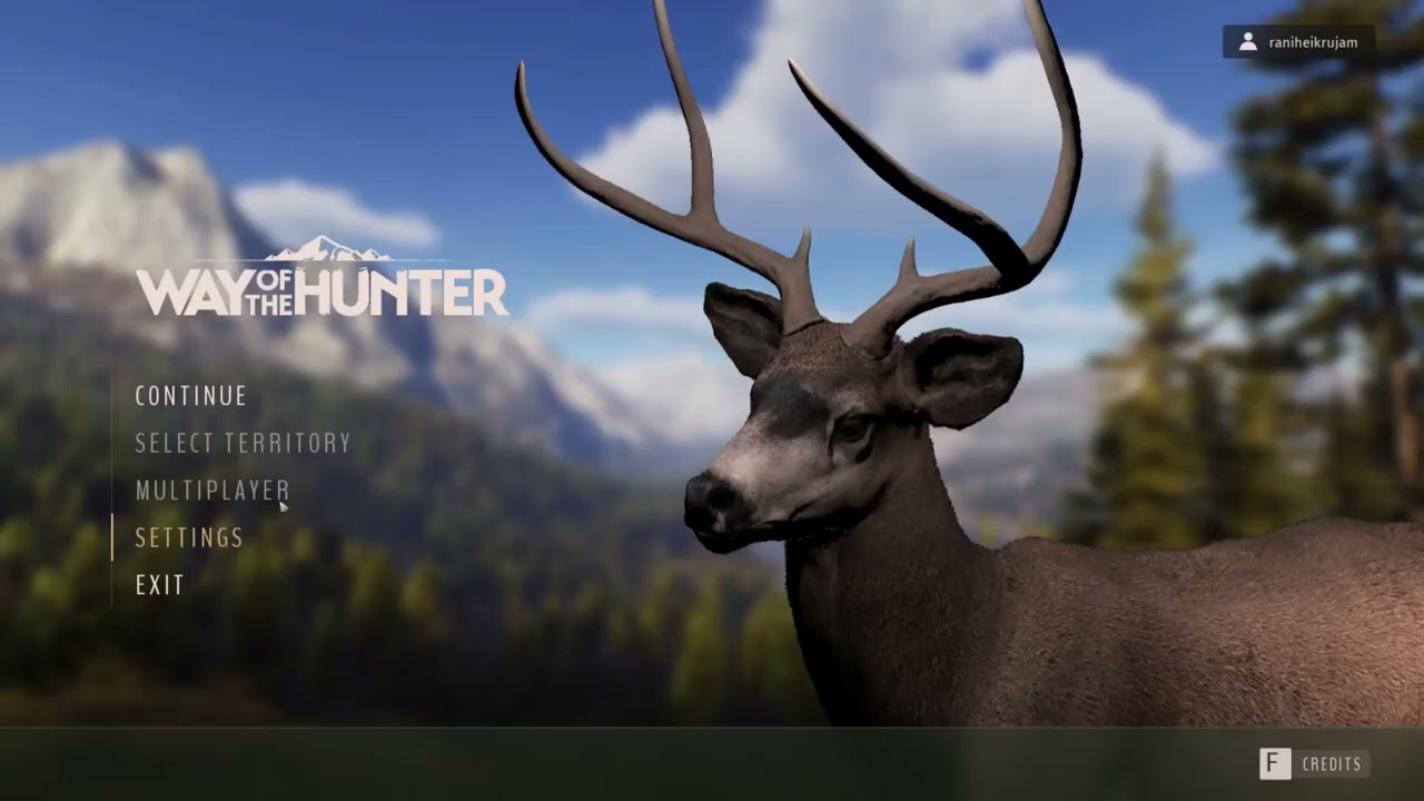 Fix Way of the Hunter Grainy/Blurry/Hazy Graphics On PC