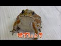 健康診断を受けたら衝撃的な事実が判明しました(笑)