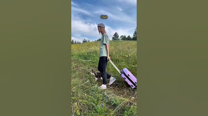 Her Cat Just Wanted to Explore 🥹