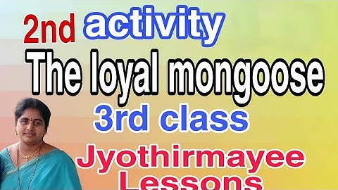 The loyal mongoose activity 2||3rd classEnglish||JyothirmayeeDandu||