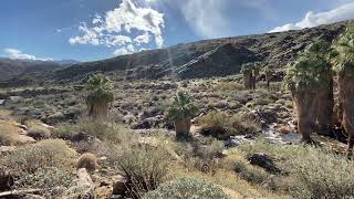 IMG 5116